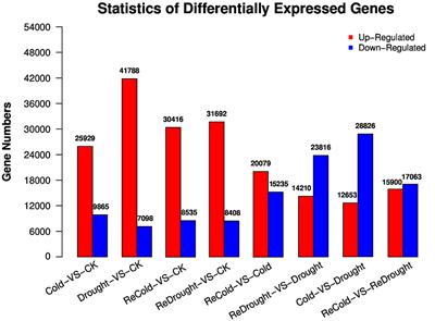 The Regulation of Adaptation to Cold and Drought Stresses in Poa crymophila Keng Revealed by Integrative Transcriptomics and Metabolomics Analysis